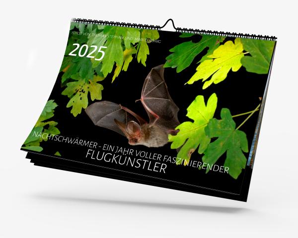 Fledermauskalender für 2025- Titel